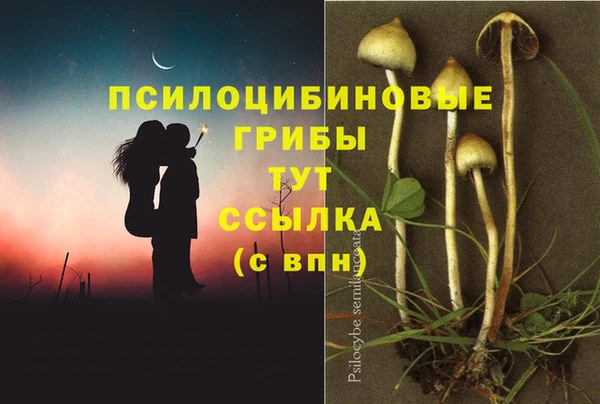 каннабис Балахна