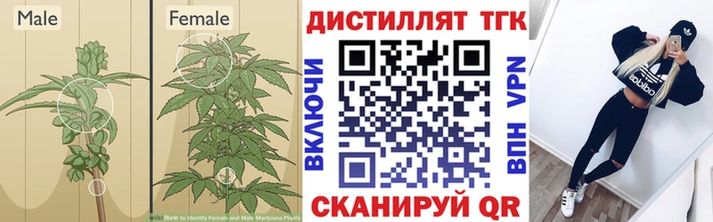 Дистиллят ТГК вейп с тгк  Гулькевичи 