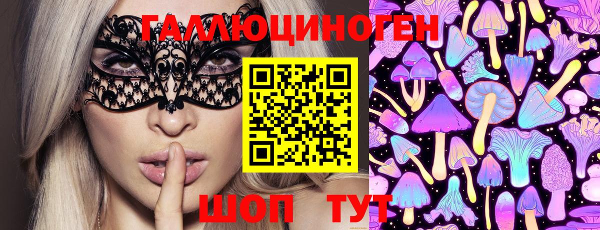 Галлюциногенные грибы Cubensis Гулькевичи