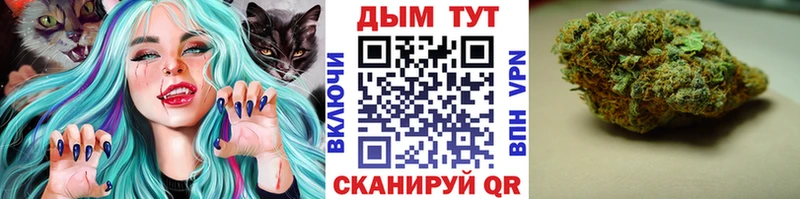 где купить   Гулькевичи  Бошки Шишки сатива 